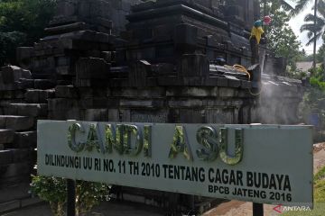 Pembersihan abu vulkanis di Candi Asu