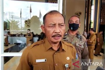 Kepri mendatangkan 600 ekor bibit sapi dari Nusa Tenggara Barat