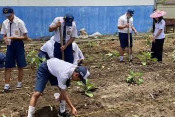 Menyiapkan SDM berkualitas dari kebun sekolah di Kutai Barat