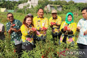 Pemkot Jakbar ubah lahan 1.839 meter jadi kebun tanaman obat dan buah