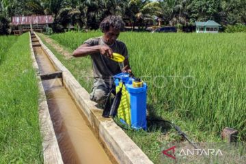 Peneliti: Penggunaan pupuk organik bisa pulihkan lahan pertanian