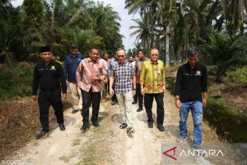 OJK dorong peningkatan pendanaan kepada petani kelapa sawit