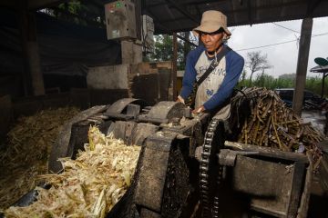 Penggilingan Tebu Elektrik
