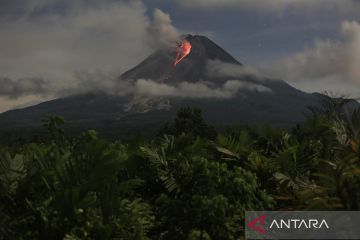 BPPTKG jelaskan fenomena pembentukan dua kubah lava di Gunung Merapi