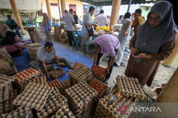 Jelang Ramadhan harga telur dan ayam merangkak naik di Makassar
