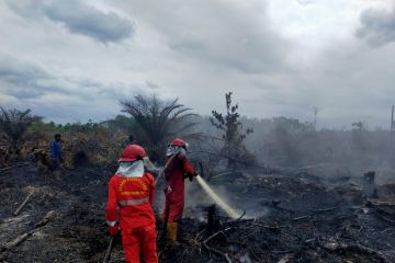 Tim gabungan padamkan karhutla seluas tiga hektare di Siak Riau
