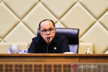 Junimart Girsang minta kepala desa tak salah paham pernyataan Megawati