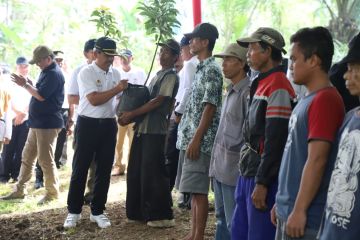 Trenggalek canangkan gerakan tanam 50 ribu pohon di seluruh desa