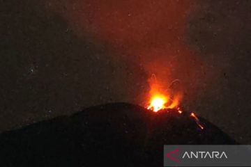 PVMBG:  821 kali erupsi terjadi di puncak Gunung Ile Lewotolok