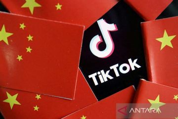Austria akan larang TikTok di ponsel dinas pegawai pemerintah