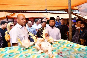 Gubernur Sulsel: Harga bahan pokok awal Ramadhan relatif terkendali
