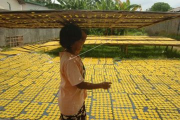 Produksi kerupuk mi