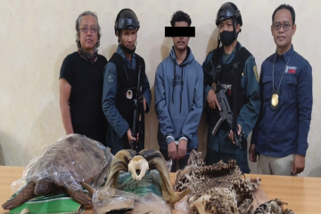 KLHK tuntaskan penyidikan kasus perdagangan bagian tubuh macan tutul