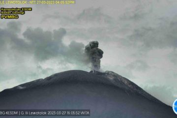 Gunung Ili Lewotolok erupsi lontarkan abu setinggi 750 meter