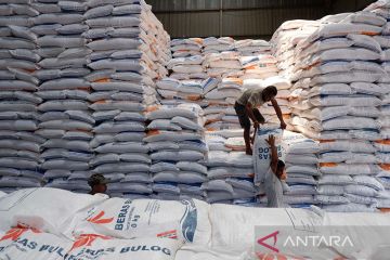 Bapanas: Terpaksa impor beras 2 juta ton, serapan panen tak penuhi CBP
