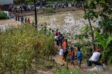 Gotong royong memperbaiki tanggul Sungai Tuntang