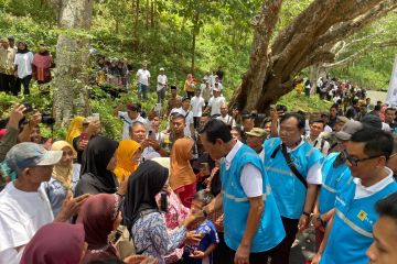 Memutus kutukan musim kemarau "sapi makan sapi" di Gunung Kidul