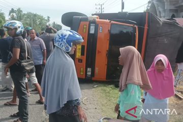 Mobil pengangkut ternak curian kecelakaan di jalan nasional Pidie