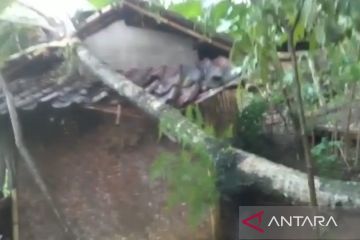 Puluhan rumah di Bojongpicung-Cianjur rusak akibat puting beliung
