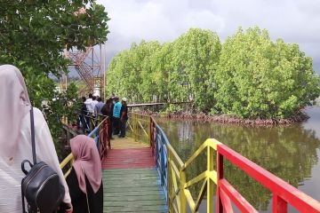 Aceh Jaya mulai kembangkan wisata hutan mangrove