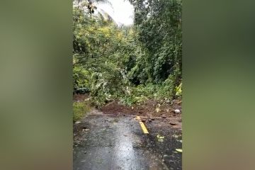 Akses jalan lingkar Pulau Ternate putus akibat tanah longsor