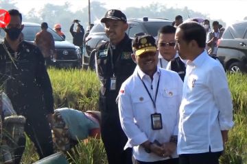 Waspadai kemarau panjang, Presiden instruksikan percepatan tanam padi