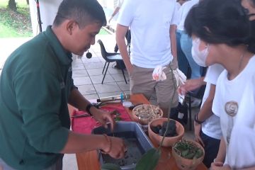 Belajar seluk beluk budi daya anggrek di Kebun Raya Bogor
