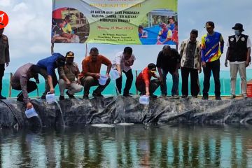 Bupati Bangka resmikan Konservasi Mangrove Merawang