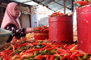 Harga cabai rawit di Palu meroket, pasar murah digelar jelang Ramadhan