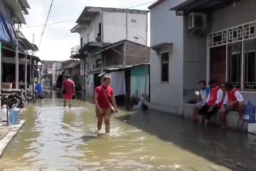 IDI sebut pentingnya kebersihan pribadi untuk cegah leptospirosis