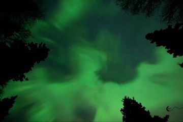 Menikmati keindahan cahaya Aurora Borealis di Alaska
