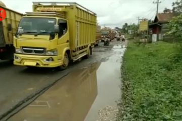 Angkutan batu bara di Jambi beroperasi kembali pada pekan ini