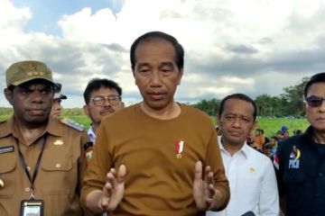 Presiden Jokowi targetkan 10 ribu hektare tanaman jagung di Keerom