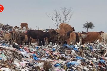 Pemko Lhokseumawe segera tata ulang TPA di Desa Alue Liem