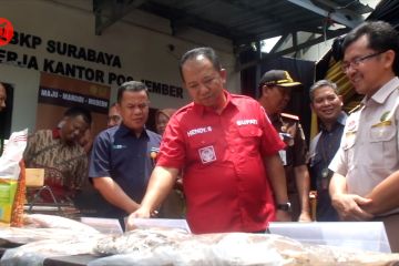 BBKP Surabaya resmikan layanan karantina pertanian di Jember