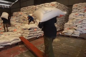 Tekan harga beras, Bulog Sulteng tingkatkan distribusi beras SPHP