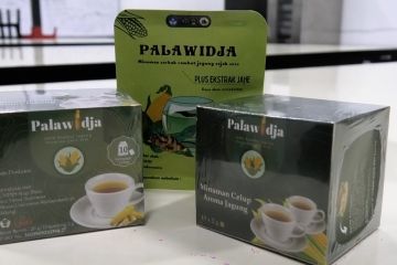 Tim peneliti UMM olah rambut jagung jadi minuman antioksidan