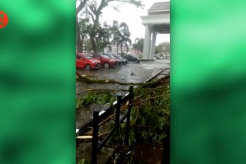 Hujan badai di Pandeglang, pohon tumbang rusak rumah dan kantor