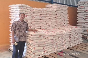 Bulog Kalteng pastikan stok beras di Gunung Mas aman hingga Lebaran