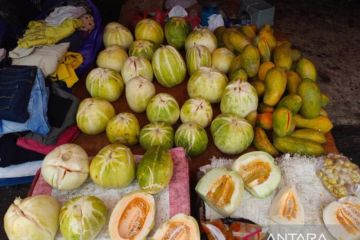 Buah "bilungka langkang"  paling banyak dicari selama puasa