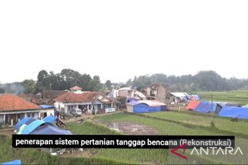 IPB kenalkan PENA perhitungan nilai kerugian pertanian gempa Cianjur