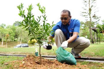 Pupuk Kaltim taman 1.000 pohon untuk jqaga ketersediaan air tanah