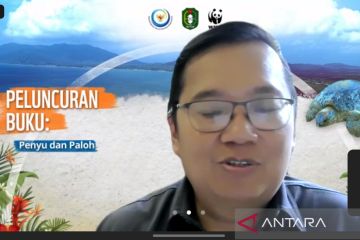 WWF luncurkan buku "Penyu dan Paloh"