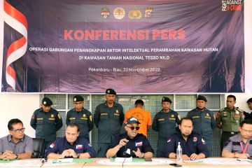 KLHK apresiasi vonis perusak Taman Nasional Tesso Nilo di Riau