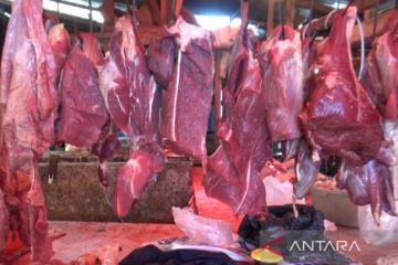 Bulog Bengkulu terima 18 ribu kilogram daging beku dari Lampung