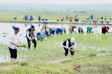 Presiden dorong petani gunakan pupuk organik lokal