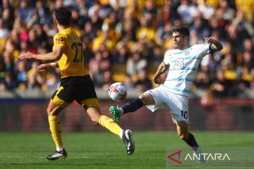 FA denda Wolves atas nyanyian rasial suporter saat lawan Chelsea