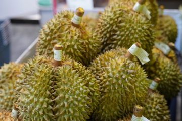 Filipina ekspor durian ke China