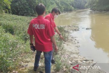 Polisi selidiki penyebab ribuan ikan mati di Sungai Cileungsi