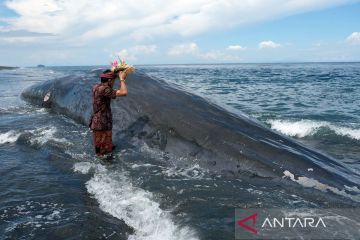 Foto Pilihan pekan kedua April 2023